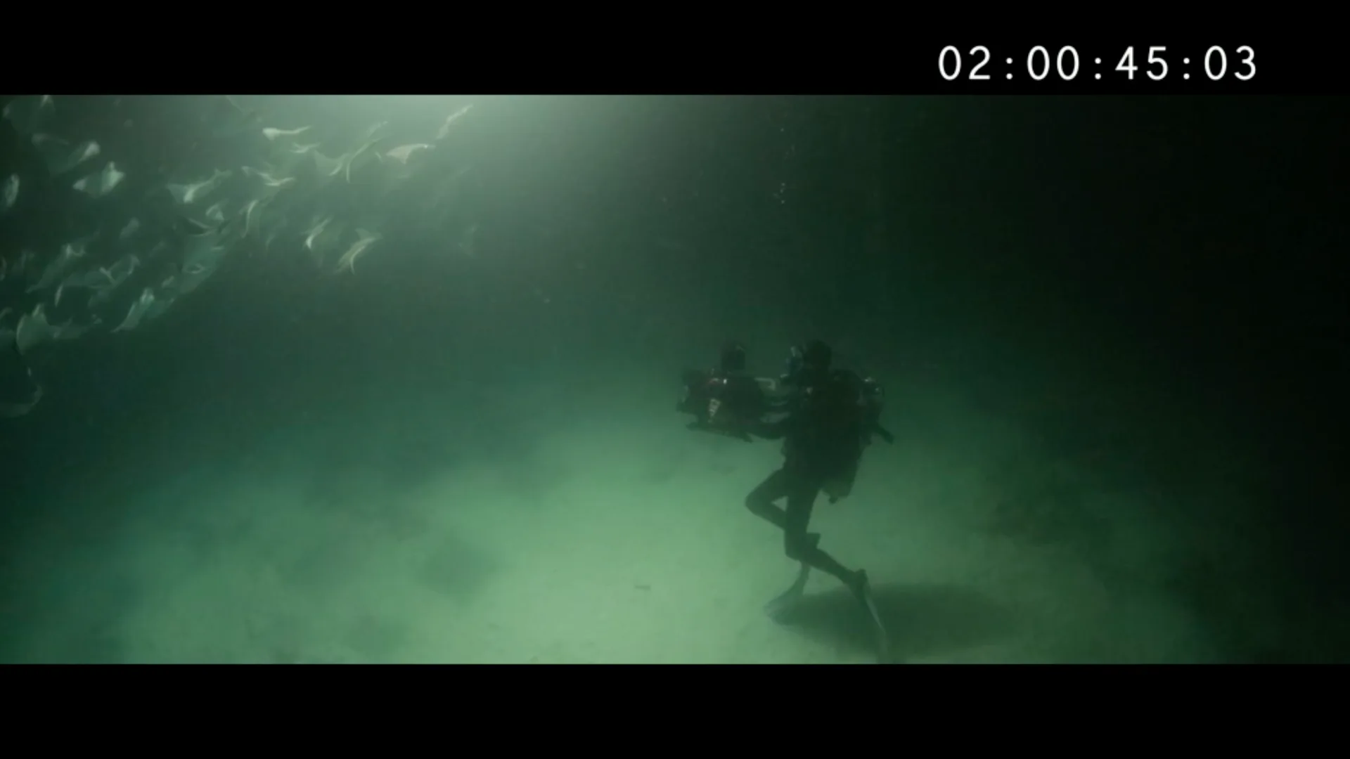 Film still: Farbe der Sehnsucht